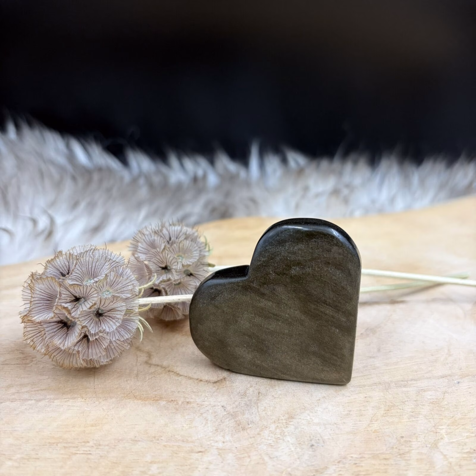 Goud obsidiaan hart met gouden flash gepolijst 4 tot 5 cm edelsteen hart, Goud obsidiaan hart gepolijst met gold sheen glans zwart edelsteen hart, Goud obsidiaan hart met sterke gouden schittering gepolijste obsidiaan steen, Goud obsidiaan hart variabel product edelsteen hart 35 tot 75 gram, Goud obsidiaan hart met gouden gloed gepolijst vulkanisch glas uit Mexico, Goud obsidiaan hart met duidelijke gold sheen flash gepolijste edelsteen, Goud obsidiaan hart zwart met goudkleurige glans handgeslepen hart, Goud obsidiaan hart detail van gouden schittering in obsidiaan steen, Goud obsidiaan hart gepolijst edelsteen hart met gouden lichtreflectie, Goud obsidiaan hart natuurlijke gold sheen obsidiaan gepolijste steen