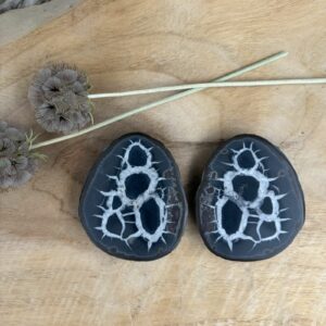 Septarie paar met natuurlijke calcietlijnen close-up, septarie paar opengeklapt met zichtbaar patroon, septarie knol doormidden met calcietaders, detail van septarie met witte calcietlijnen, septarie paar van voren met symmetrische vorm, septarie paar op standaard met natuurlijke tekening, zijaanzicht van septarie paar met ruwe buitenkant, binnenkant van septarie met contrast tussen bruin en wit, septarie paar met unieke barststructuur, septarie steen paar met natuurlijke glans