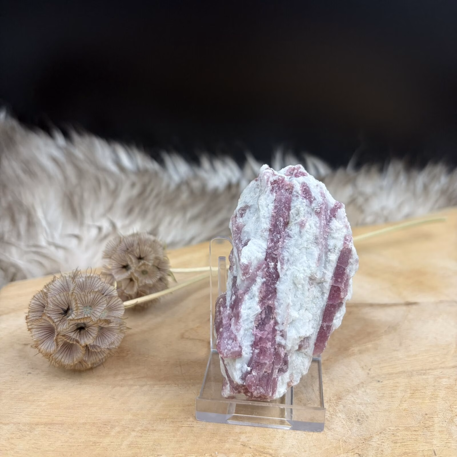 roze toermalijn in kwarts en albiet ruw, rubelliet in kwarts Brazilië, roze toermalijn steen ruw, rubelliet kristal met albiet, roze toermalijn werking steen, natuurlijke rubelliet in kwarts, roze toermalijn met witte albiet, ruwe roze toermalijn 90 gram