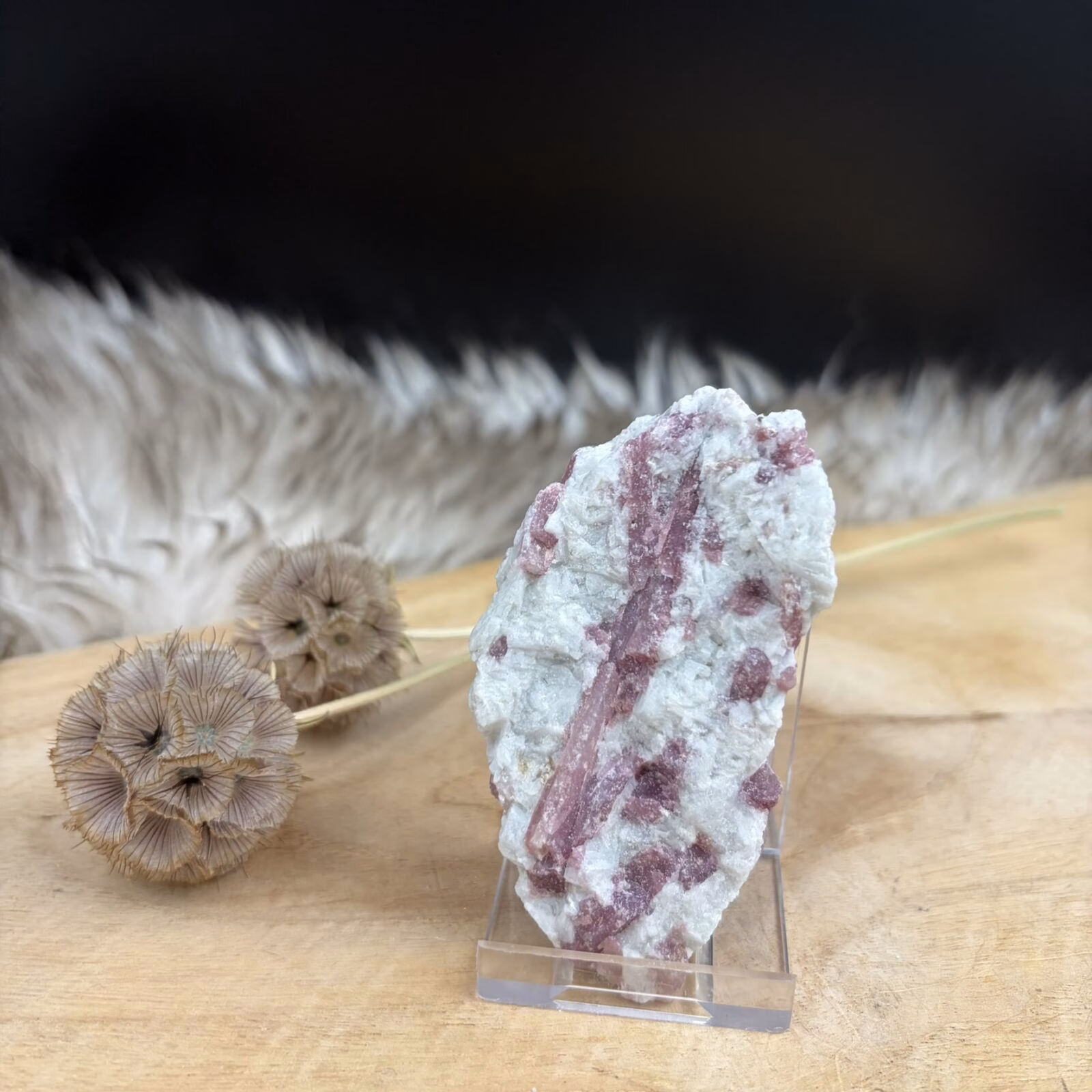 roze toermalijn in kwarts en albiet ruw, rubelliet in kwarts Brazilië, roze toermalijn steen ruw, rubelliet kristal met albiet, roze toermalijn werking steen, natuurlijke rubelliet in kwarts, roze toermalijn met witte albiet, ruwe roze toermalijn 90 gram
