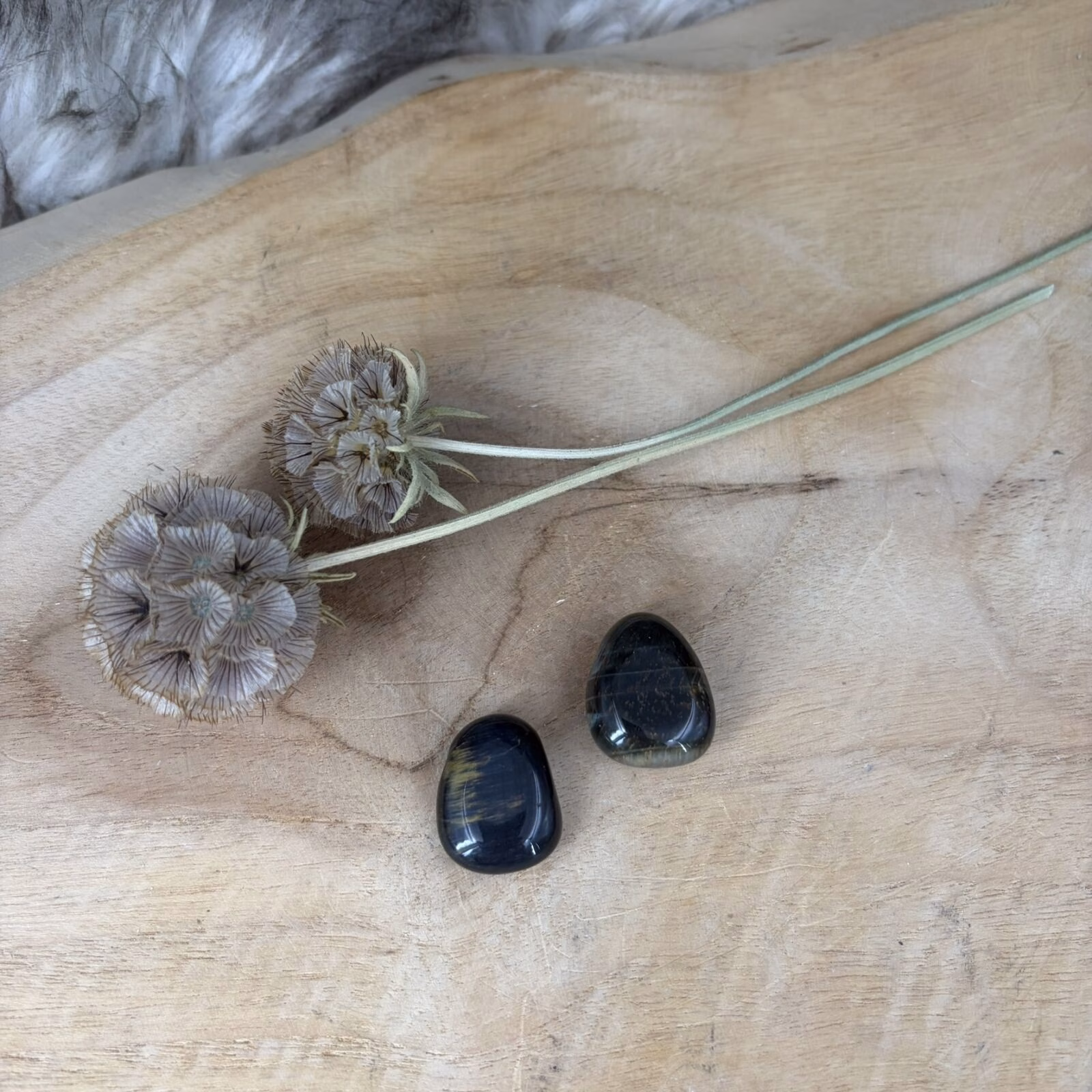 Een doorboorde Valkenoog hanger met diepblauwe glans op een rustieke houten ondergrond.
