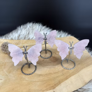 Rozenkwarts vlinder op houten tafel