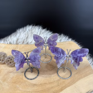 overzichtsfoto amethist vlindertje, amethist vlindertjes