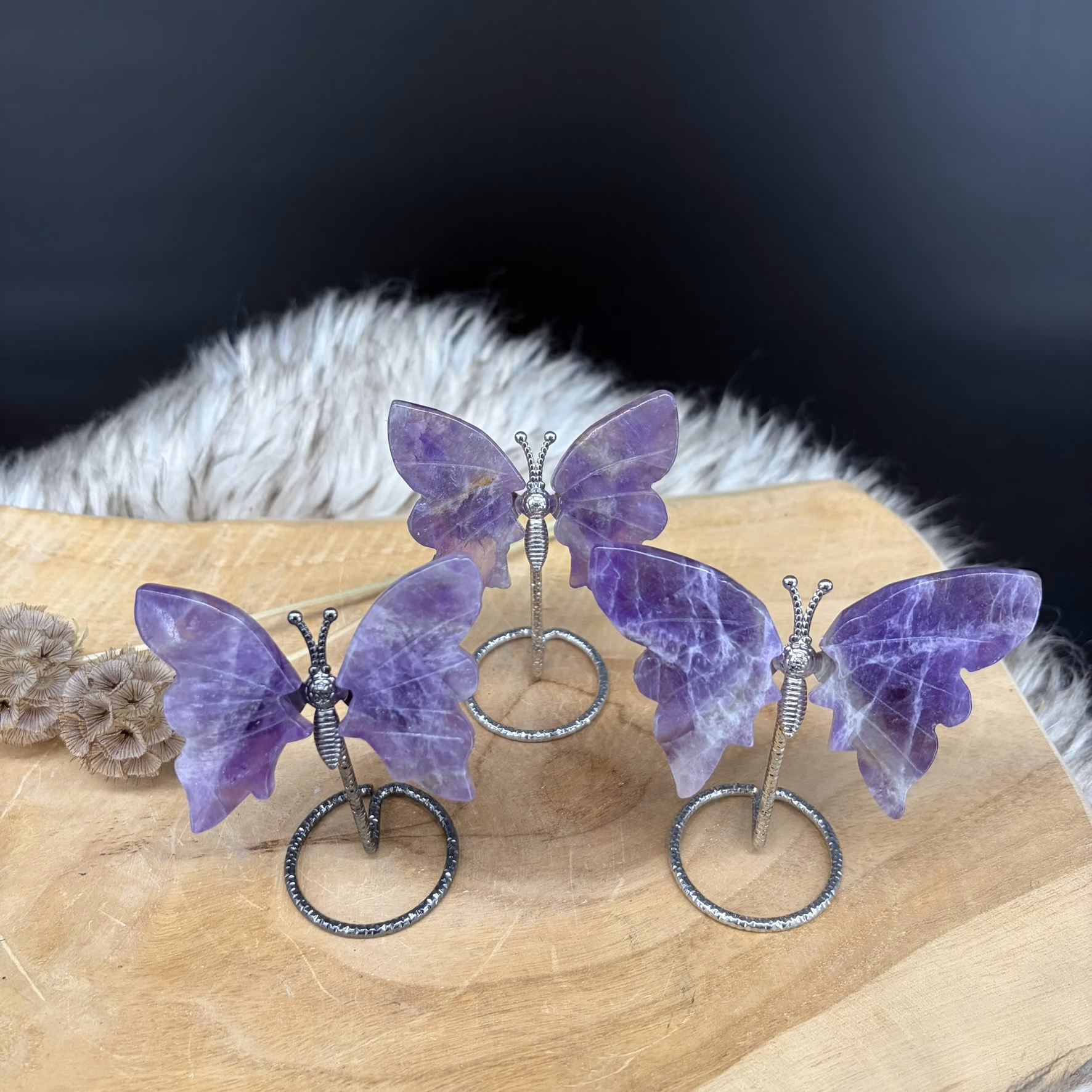 overzichtsfoto amethist vlindertje, amethist vlindertjes